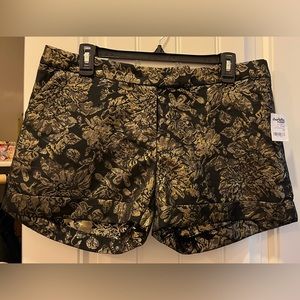 Charlotte Russe Shorts